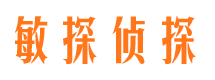 宛城婚外情调查取证